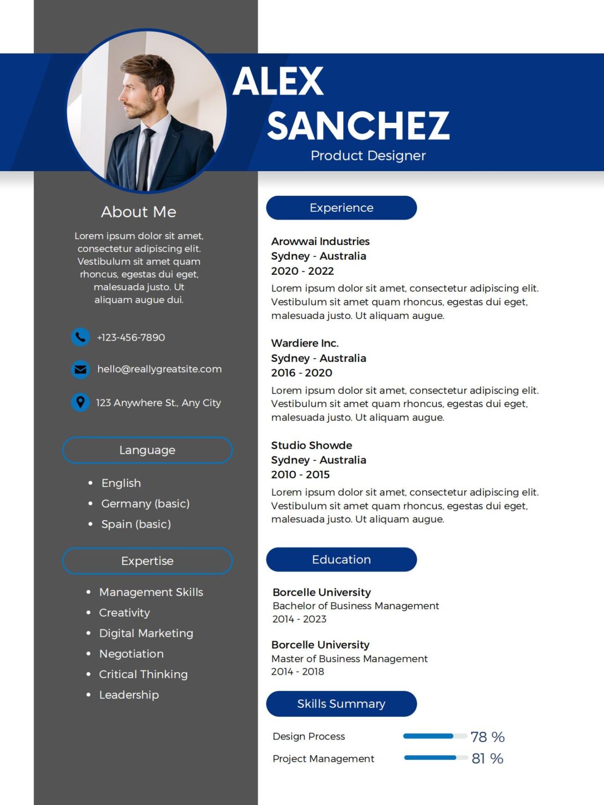 Professional CV Resume Template