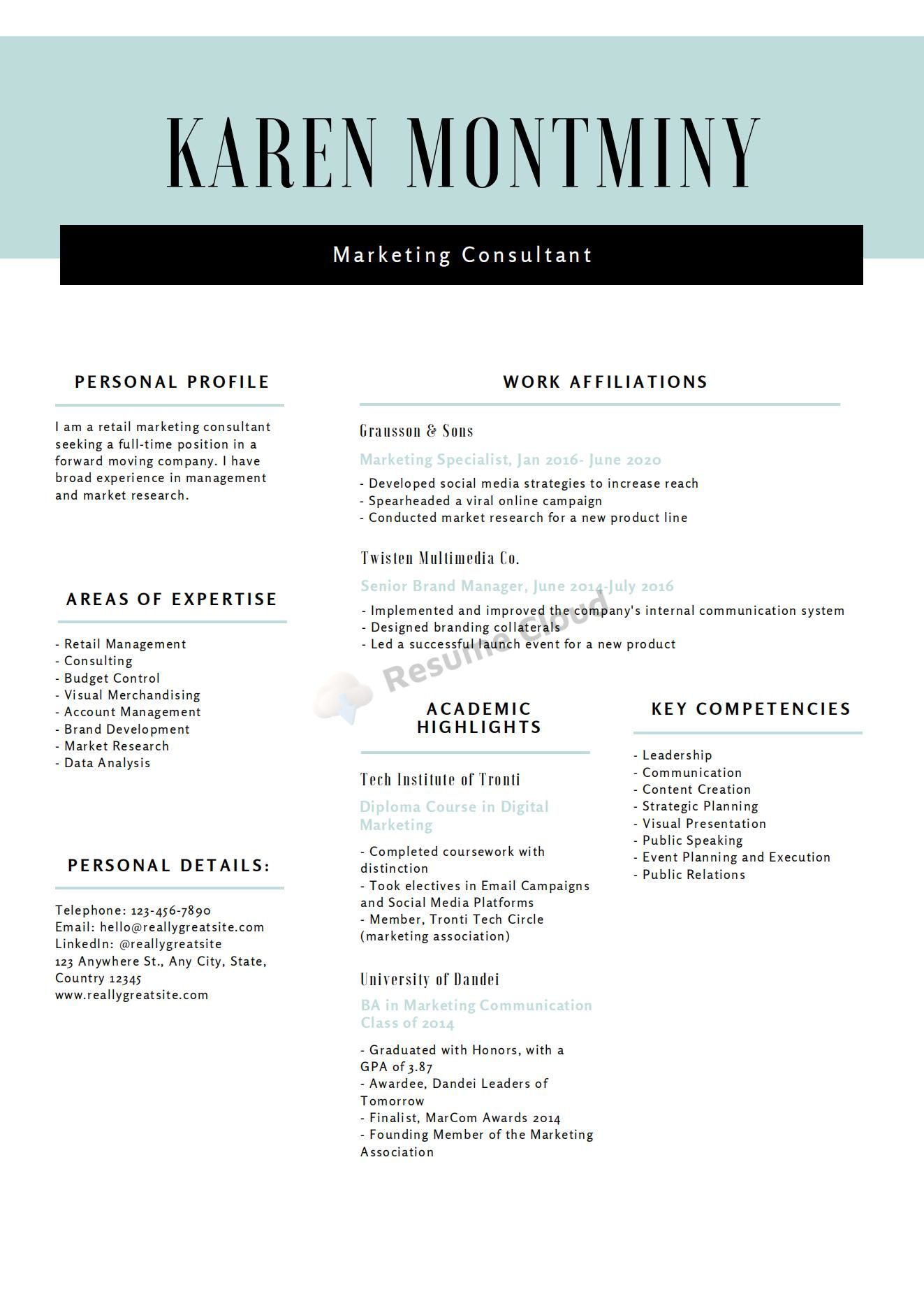 Formal Retail Marketing Consultant Resume Template