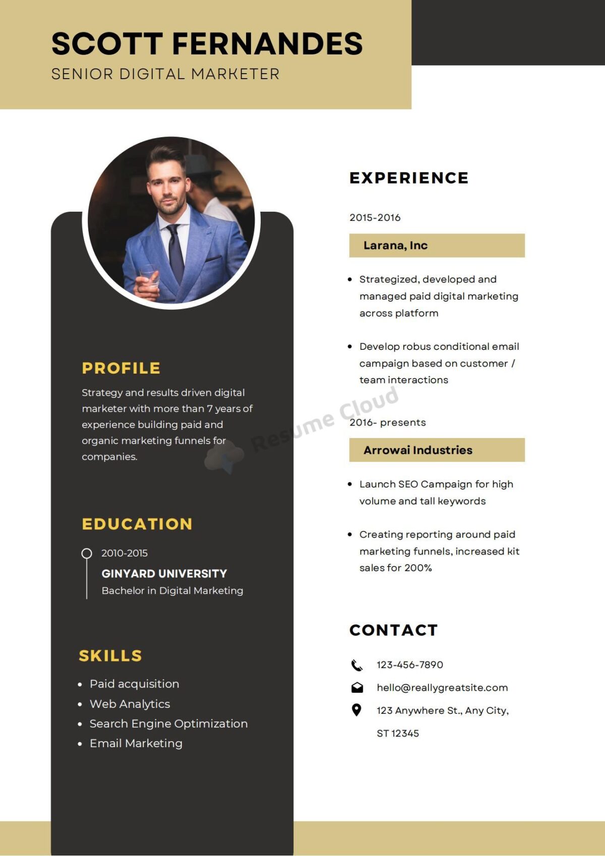 Download📥Modern Digital Marketer Resume Template/Example - Resume Cloud