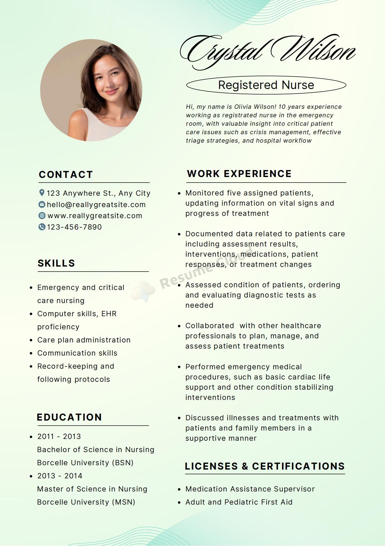 Modern Nursing Resume CV Template