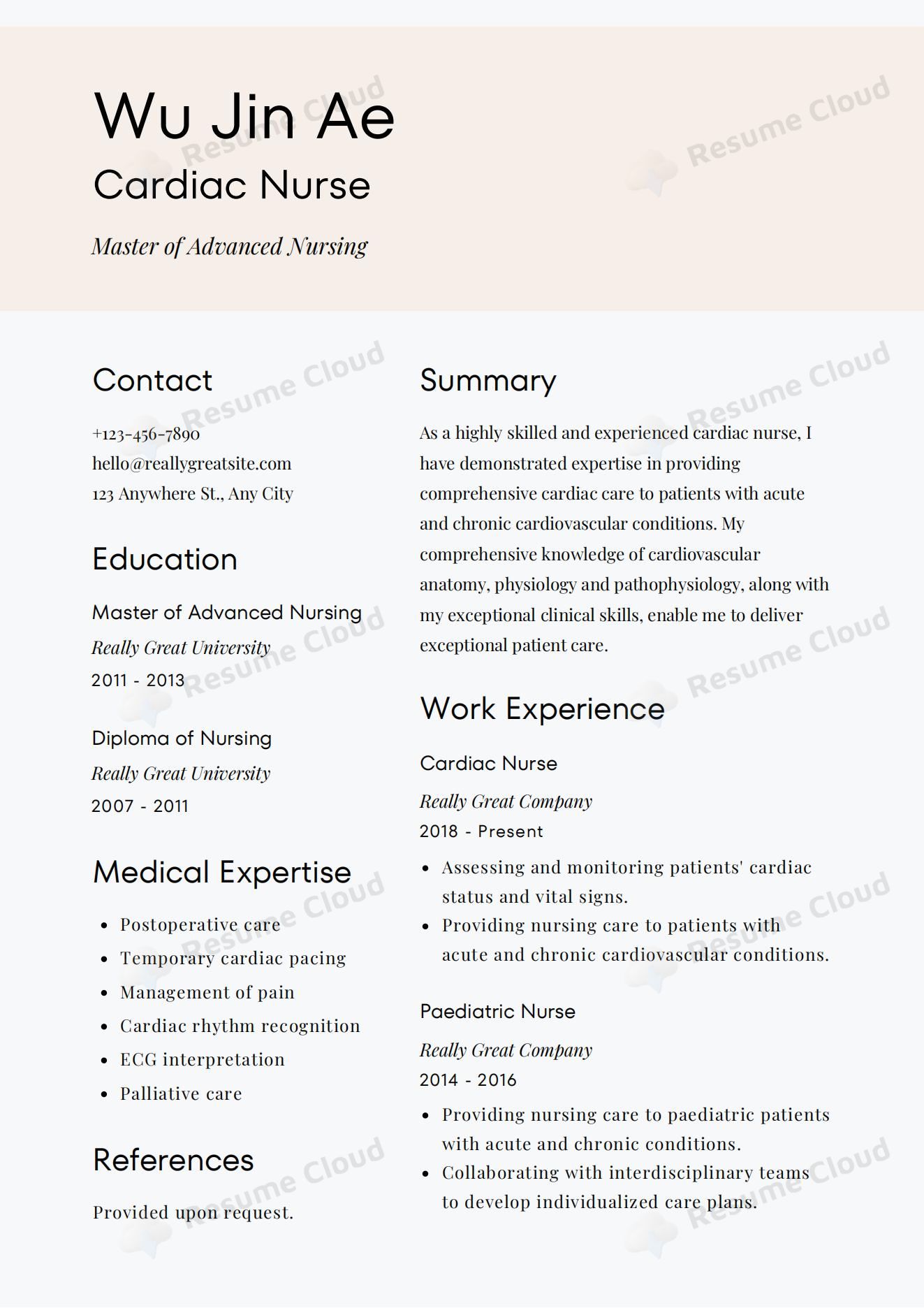 Pink Professional Nursing Resume Example