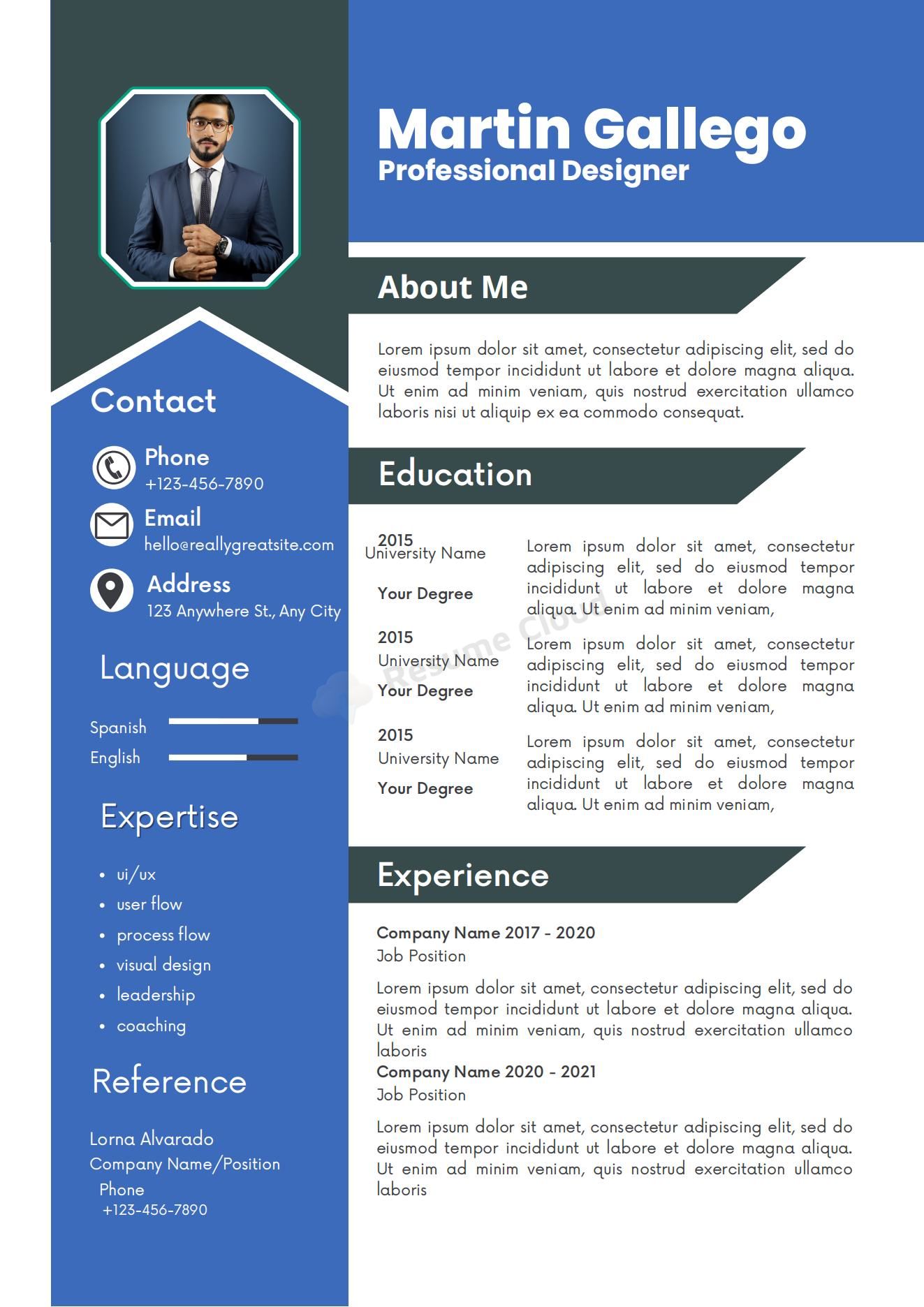 Professional Designer Resume Template