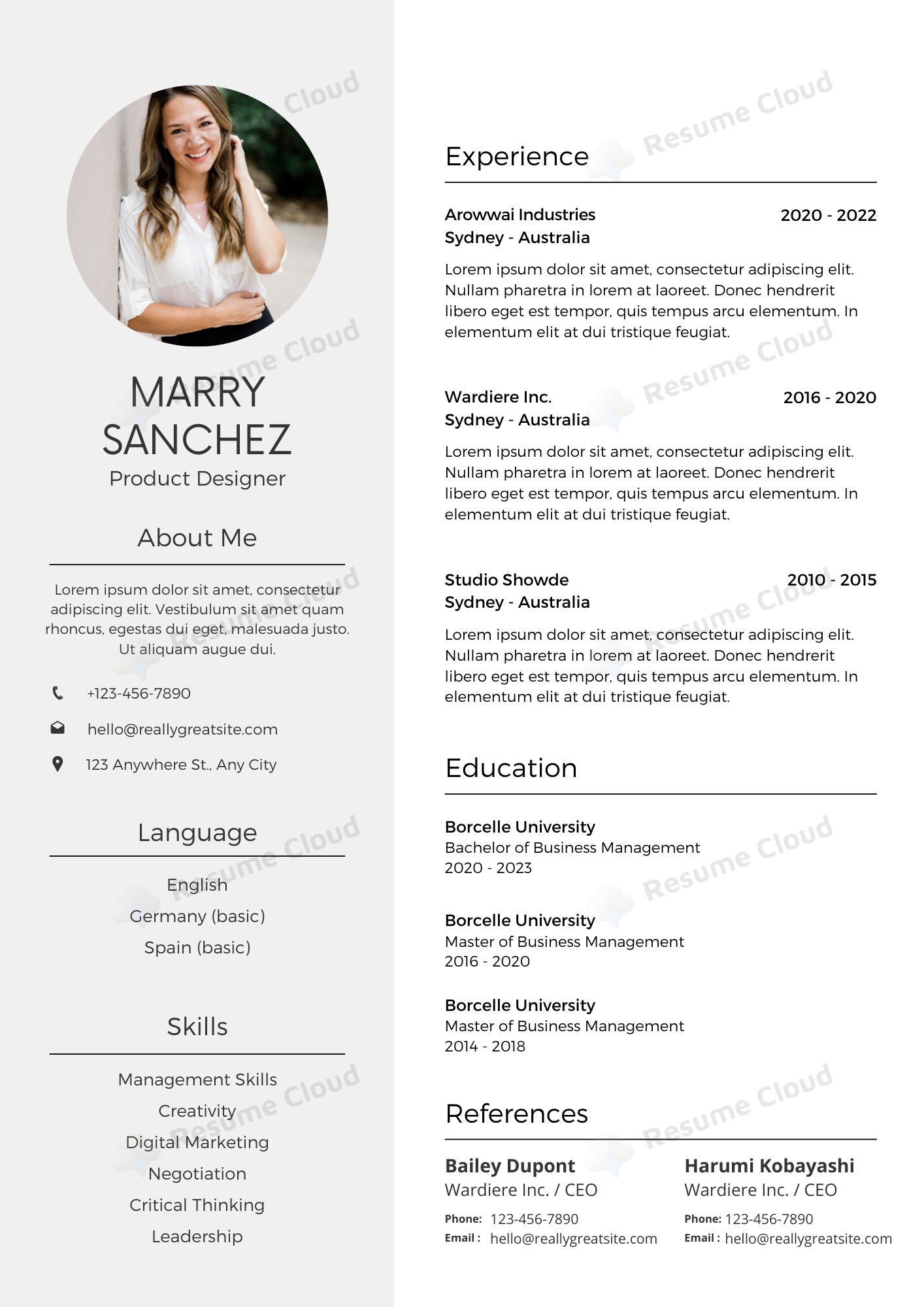 Professional Modern CV Resume Template