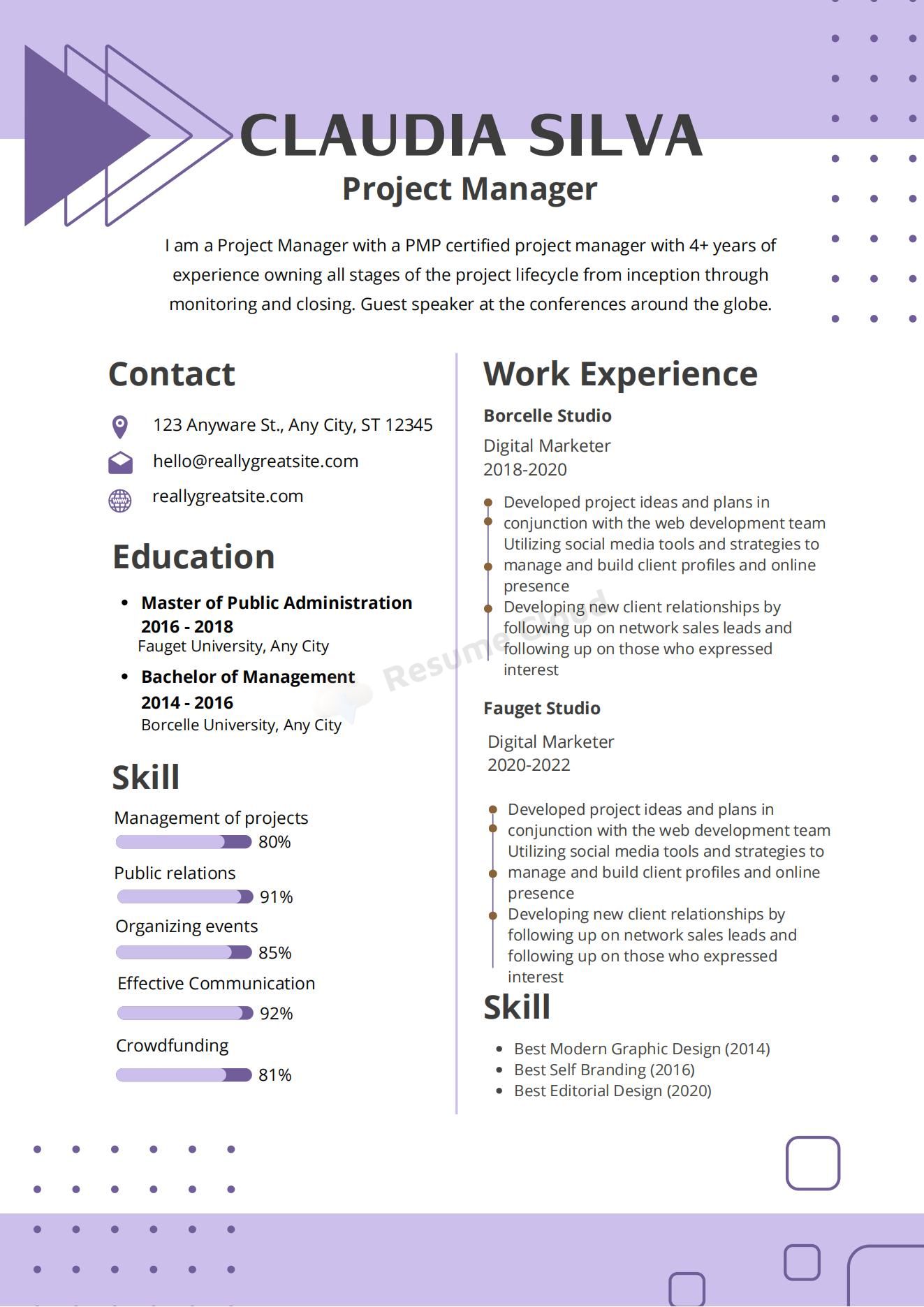 Professional Project Manager Resume Template