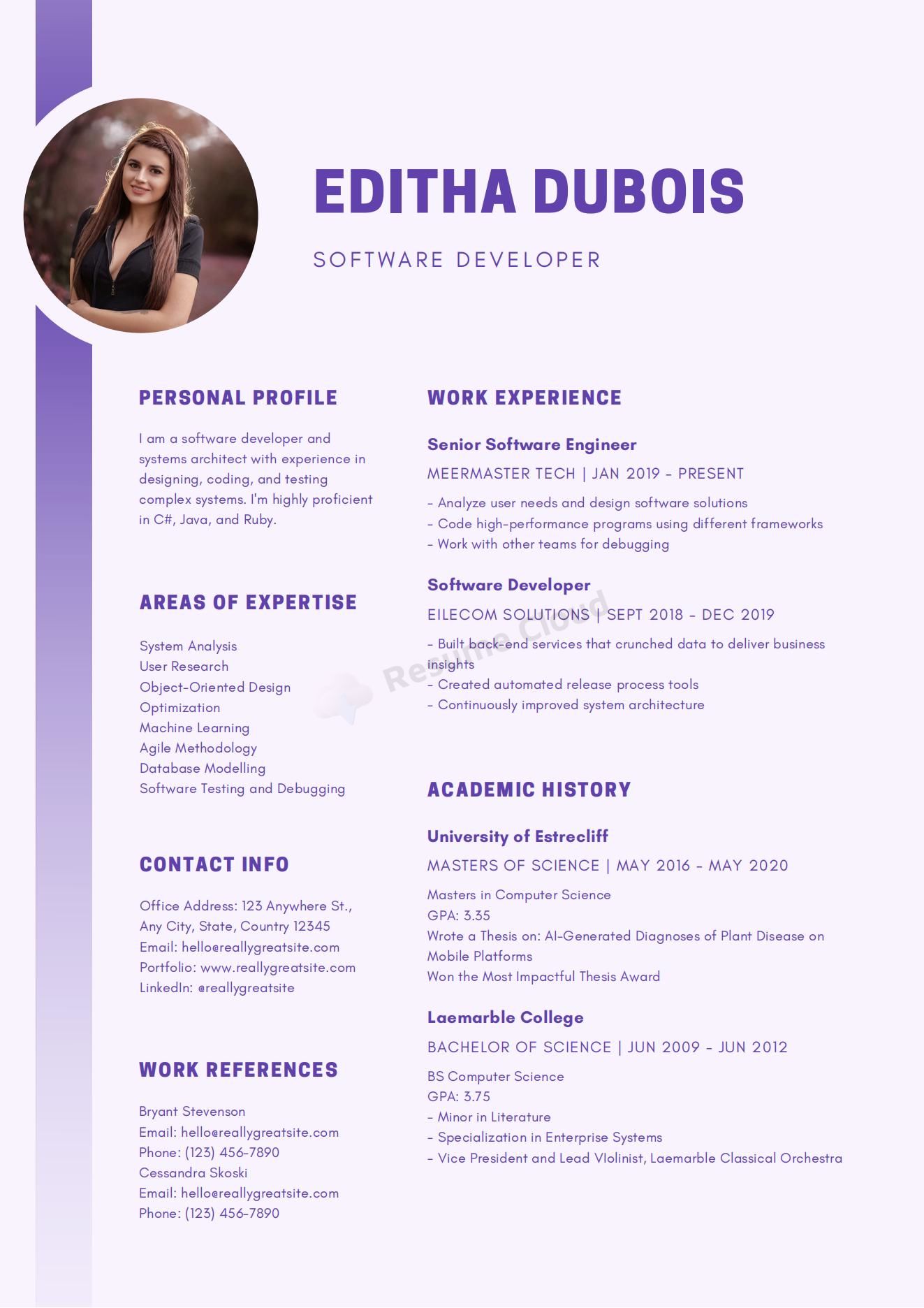 Software Developer Technology Resume Template