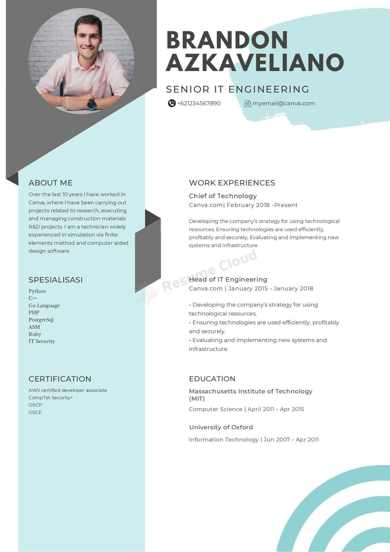 Senior IT Engeneering Resume Template