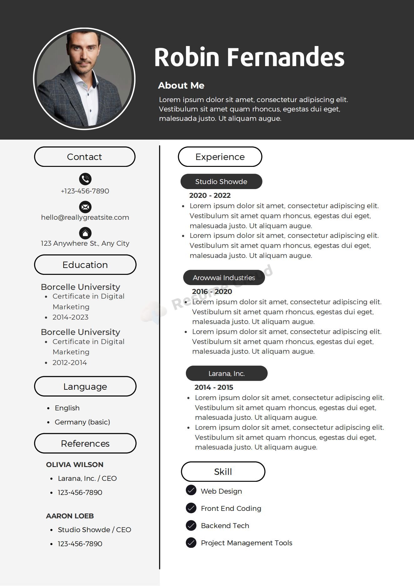 Professional Resume CV Template