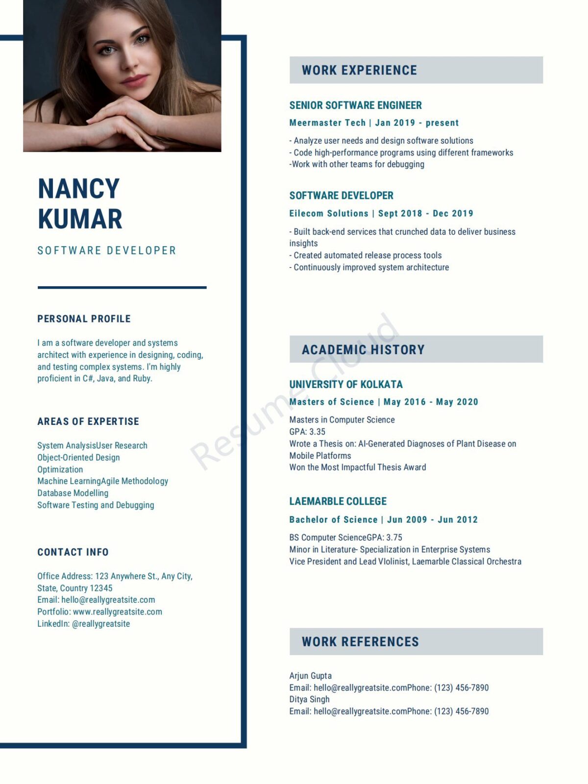 Software Developer Technology Resume Example